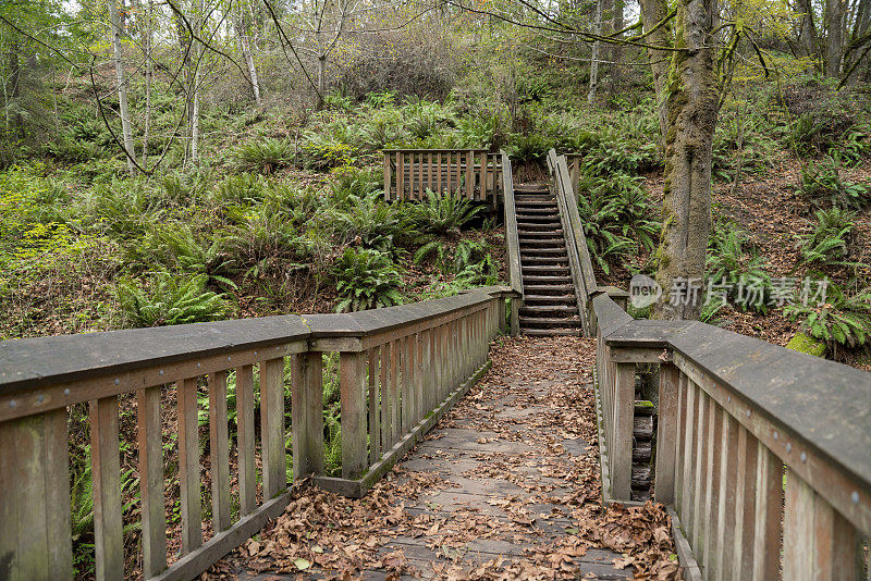 美国华盛顿州塔科马市Dash Point州立公园的木制台阶